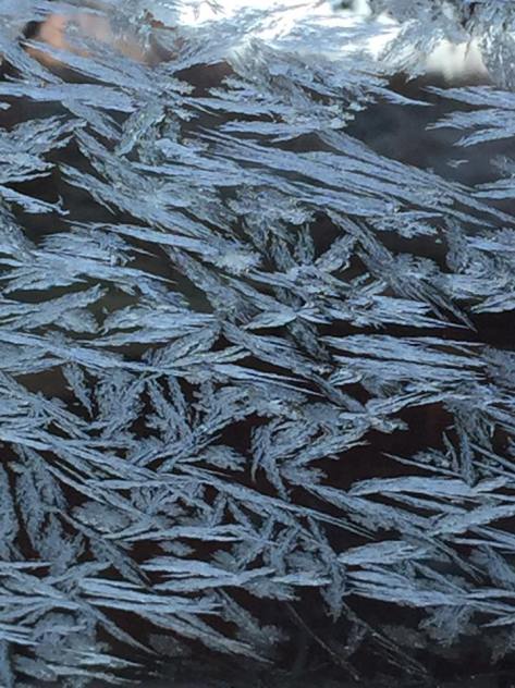 12439269_10208977237772116_8230639085803547557_n(1)